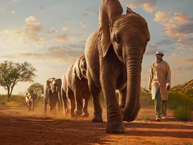 Die nächste Folge von Wild Life wird im Herbst ausgestrahlt.