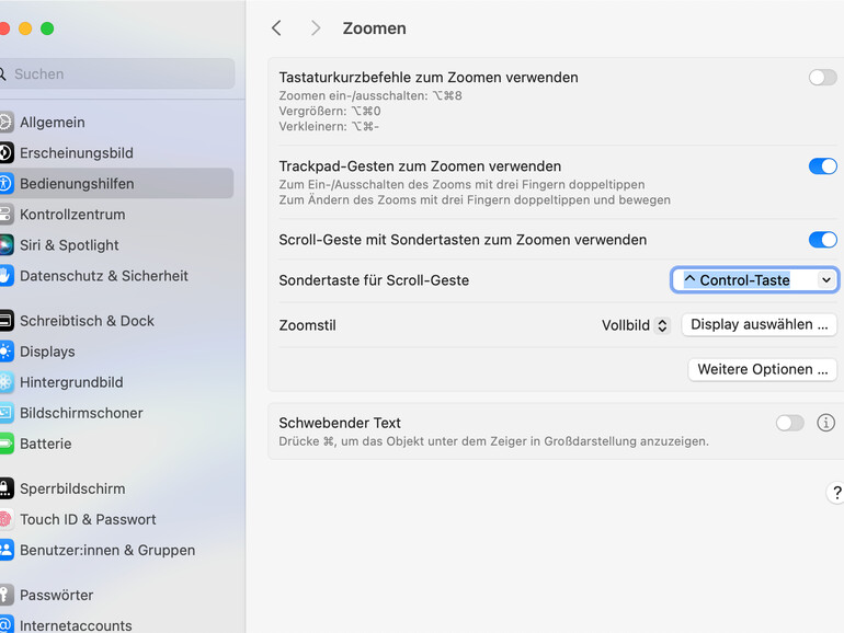 In Verbindung mit der schnellen Zoomfunktion lässt sich auch mit höherer Auflösung noch komfortabel arbeiten.