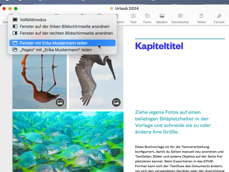 Fenster oder Apps lassen sich schnell über den Zoom-Knopf teilen.