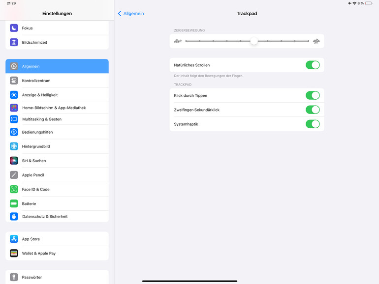 Im Untermenü lässt sich auch die Geschwindigkeit des Trackpads anpassen.