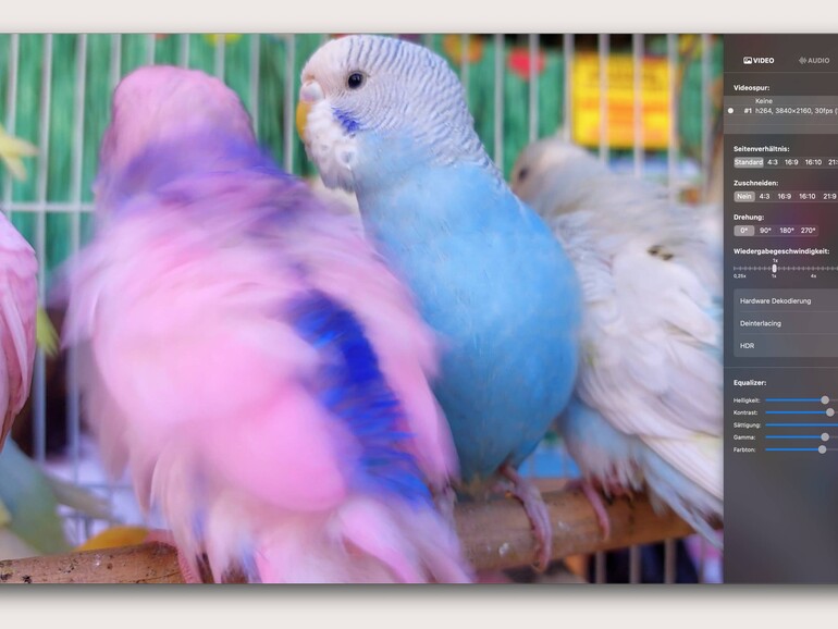 Iina lässt sich Videos während der Wiedergabe nachregeln.