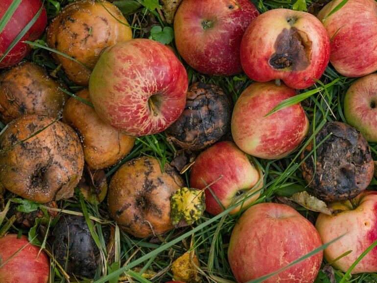 So sieht John Gruber Apple aktuell.