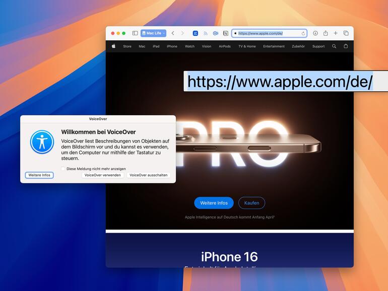 Es gibt zahl­reiche Optionen, mit denen Sie Ihren Mac besser sehen und hören können.