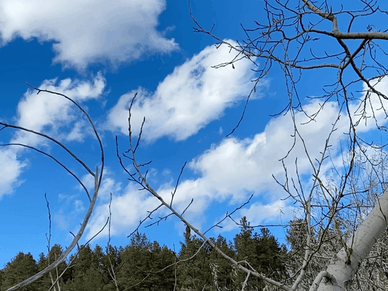 Zeitraffer-Beispiel als GIF