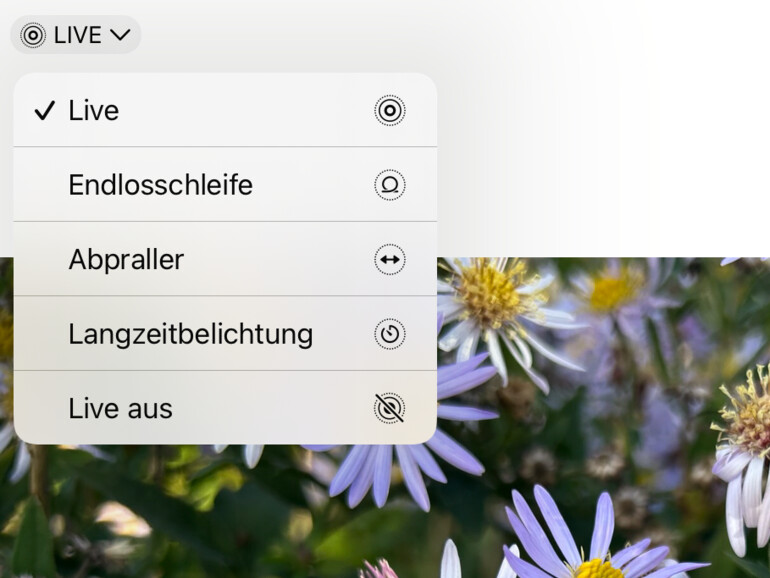 Bei Live-Fotos kannst du verschiedene Effekte auswählen, oder das Feature auch nachträglich ausschalten.