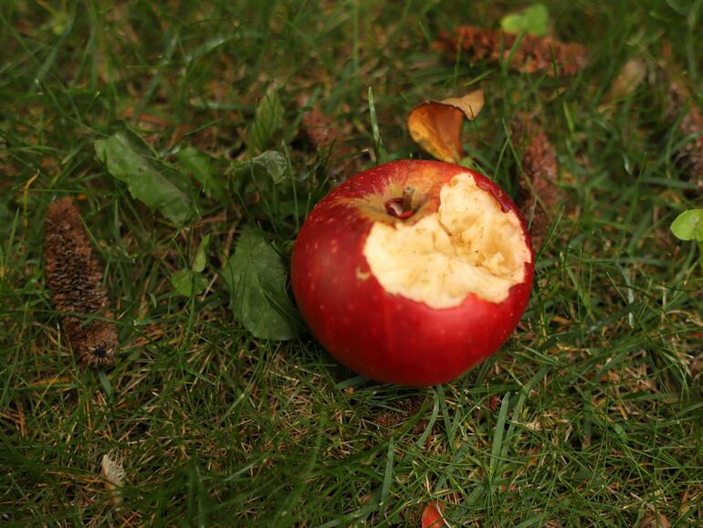 Apple verklagt Jon Prosser wegen der Leaks zu iOS 26.