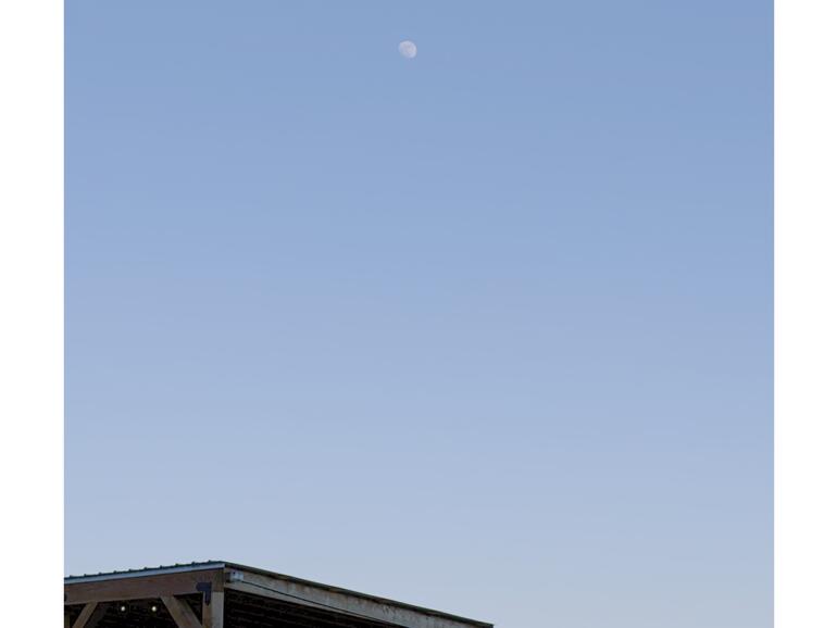 Einer meiner Versuche mit dem iPhone. Eine der größten Herausforderungen neben Belichtung und Fokus: den richtigen Zeitpunkt finden …