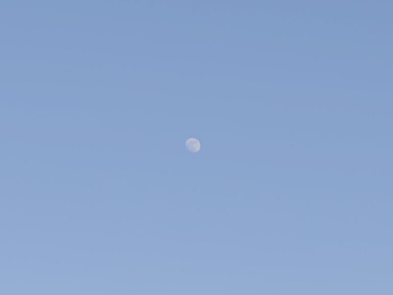 Ein vergrößerter Ausschnitt des vorherigen Bildes: Man sieht Struktur, aber das Bild ist nicht besonders scharf und detailliert. Ein bisschen mehr Kontrast durch einen dunkleren Himmel wäre besser gewesen.