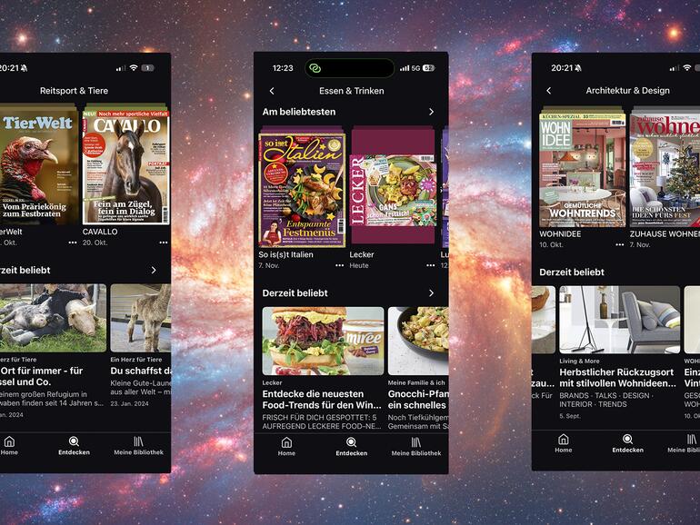 Clever: Neben kompletten Magazinen siehst du im Bereich „Derzeit beliebt“ einzelne Beiträge, die du direkt anwählen und aus der jeweiligen Zeitschrift heraus lesen kannst.