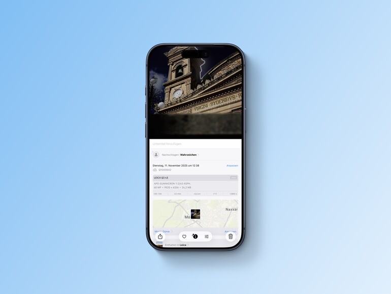 Visuelle Intelligenz auf dem iPhone kann Tiere, Pflanzen und mehr direkt auf Fotos erkennen.