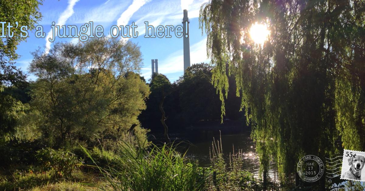 Wahle Eine Foto Postkarte Oder Ein Design Motiv Mypostcard