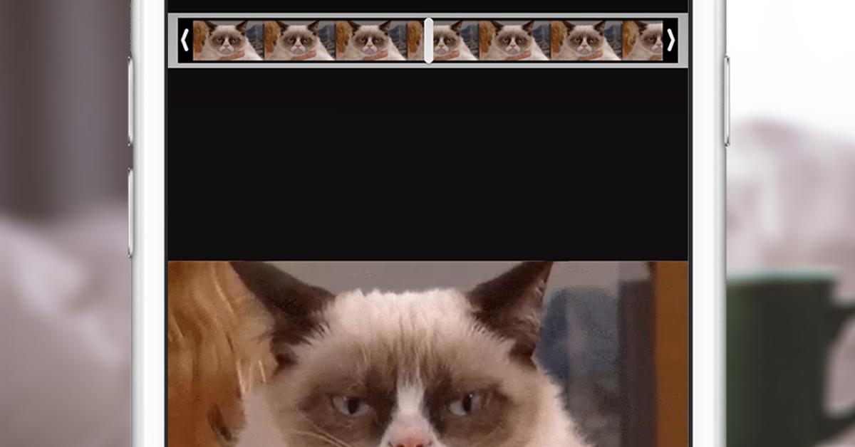 Animierte Gifs Mit Whatsapp Verschicken So Geht S Mac Life In den meisten fällen kannst du neben deinen kontakten auch chats, videos und bilder erhalten. animierte gifs mit whatsapp verschicken