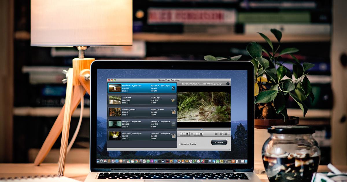 free macx youtube downloader