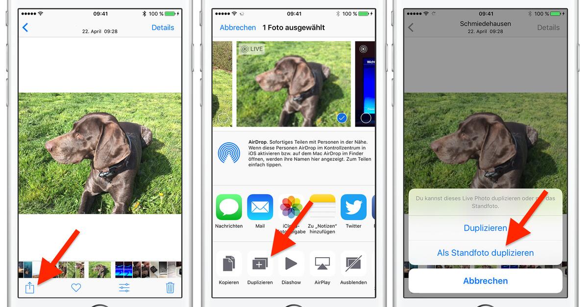 Live Photos in normale Fotos umwandeln - so geht's | Mac Life