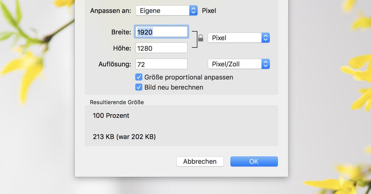 bildauflosung verringern so geht s am mac mac life