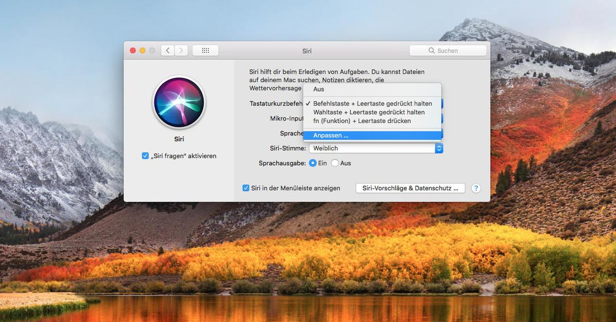 Lautlos Mit Siri Kommunizieren Schreiben Statt Sprechen Mac Life