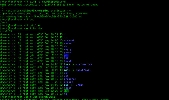 Die bash in einem Terminal.