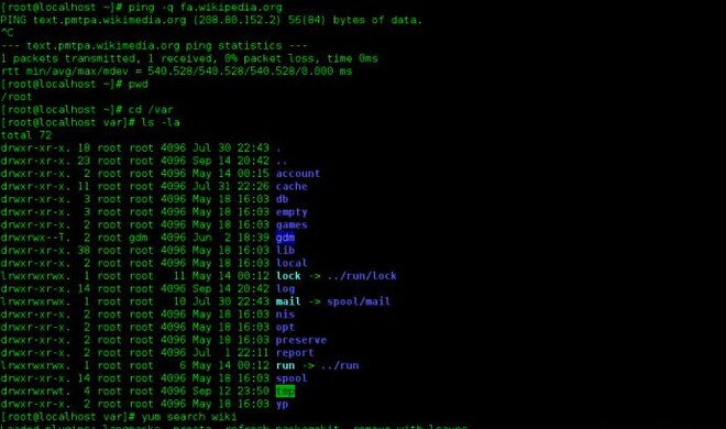 Die bash in einem Terminal.