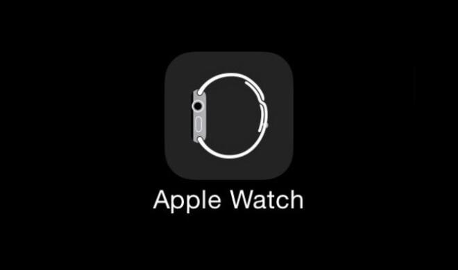 Das Icon der Companion App für die Apple Watch - vielleicht noch nicht final