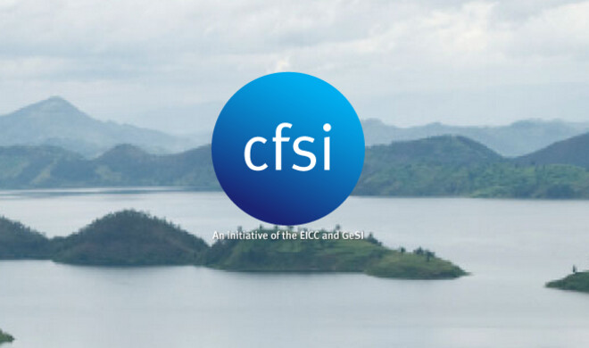 Das Unternehmen hat einen Audit der Organisation Conflict-Free Sourcing Initiative eingeführt