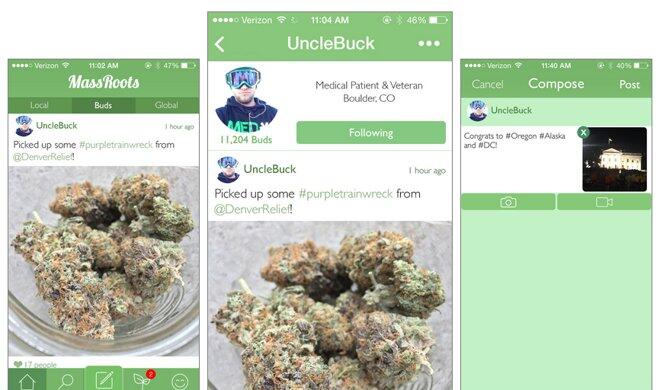 In vier US-Staaten, Colorado, Washington, Oregon und Alaska, und im US-Regierungsbezirk District of Colombia ist der Besitz und der Konsum von Marihuana legal