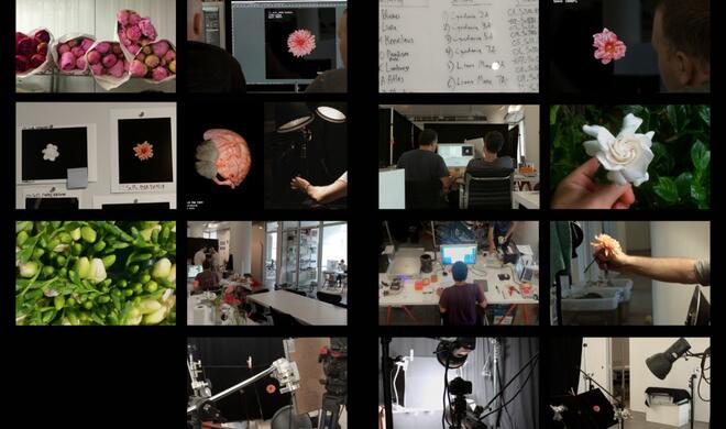 Alle Aufnahmen entstanden innerhalb des Apple Design Studios.