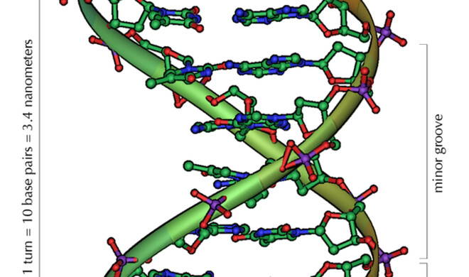 Dem Bericht von technologyreview.com zufolge sollen bereits erste konkrete Planungen für das Sammeln der DNA existieren