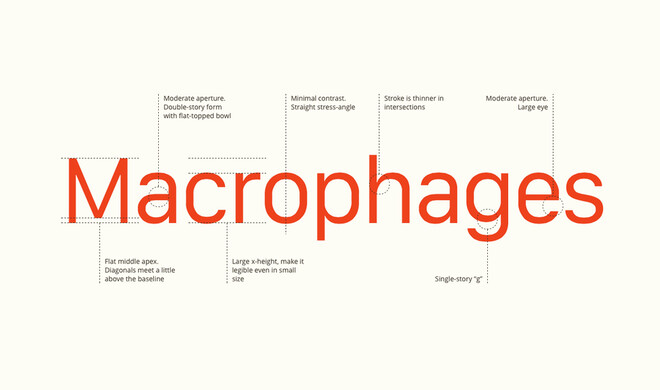 Apples neue Schriftart San Francisco Font