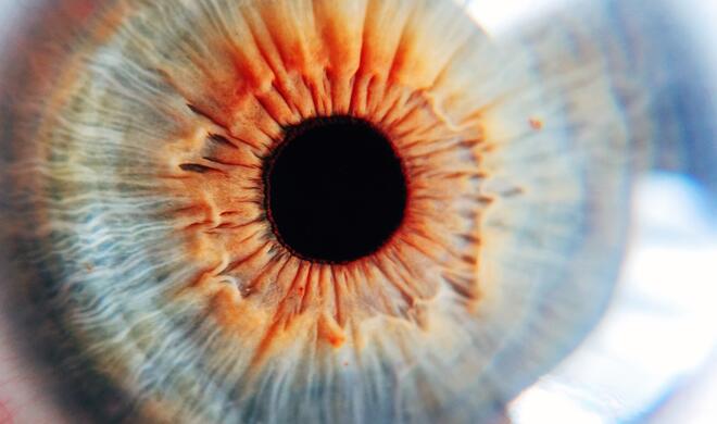 Foto mit der Moment Macro Lens