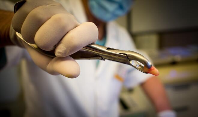 15 Chuck Norris’ Weisheitszähne sind noch nicht durchgebrochen. Sie haben Angst vor den Schmerzen, wenn sie es versuchen.