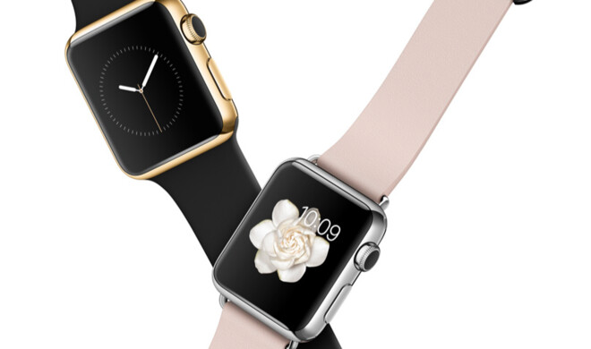 Die Marktforschungsfirma Wristly hat die Gründe gegen den Kauf der Apple Watch erforscht.