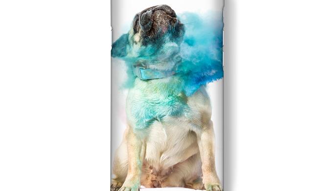 Der Online-Shop Fixum bietet die unterschiedlichsten iPhone-Cases, auch für Hundefreunde ist mit Sicherheit was dabei.