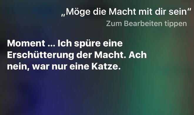 Katzen sind ja auch definitiv machtveranlagt.