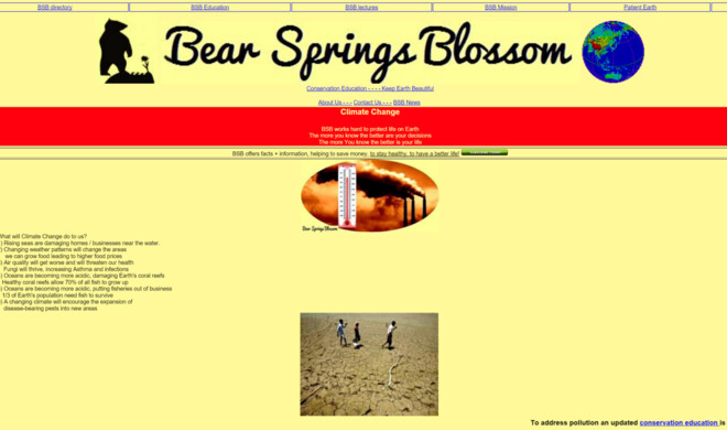 Gelber Hintergrund, schlechte, ruckelnde Animation und ein durchlaufender Ticker sind einfach nicht mehr zeitgemäß – und zwar seit 15 Jahren. Außerdem sind die Bilder so klein und unscharf, dass sie kaum noch auf einem Bildschirm mit heutzutage normaler Auflösung betrachtet werden können, ohne dass dem Besucher die Augen schmerzen.