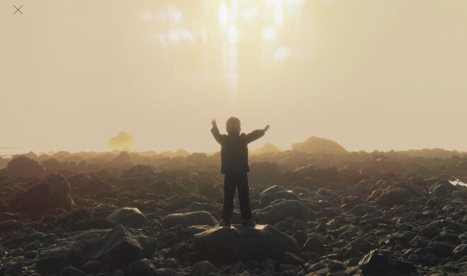 Fotomontage mit der App Union