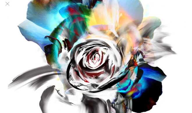 Rosenfoto auf iPad Pro mit Procreate verfremdet