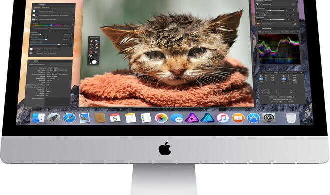 Links oben sehen Sie eine kissenförmige und rechts oben eine tonnenförmige Verzeichnung. Als Vergleich ist unten das Originalquadrat ohne Verzeichnung abgebildet.