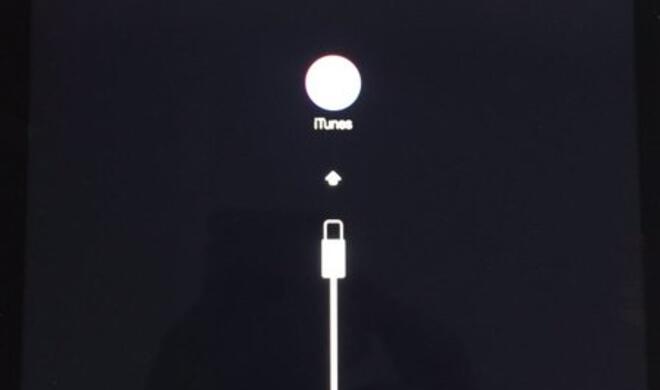 Defektes iPad Pro 9,7 Zoll