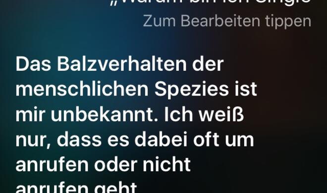 Warum bin ich Single?