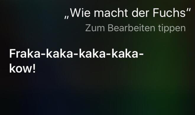 Wie macht der Fuchs?