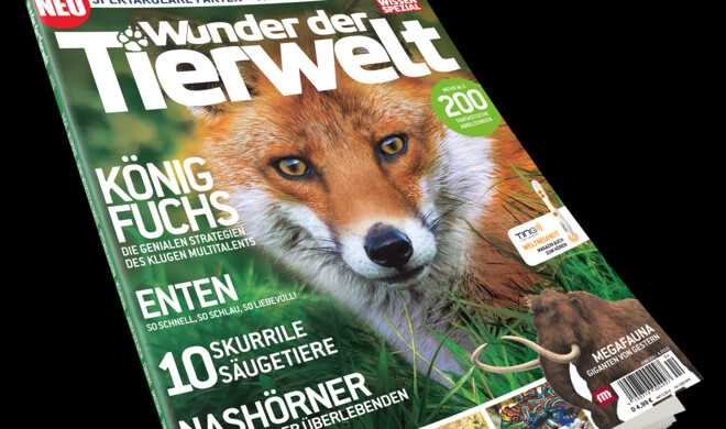 &quot;Wunder der Tierwelt&quot; ist ab sofort im Handel