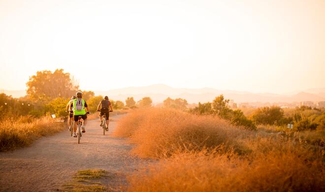 Mit Morecast kann man die Radtour nach dem Wetter planen