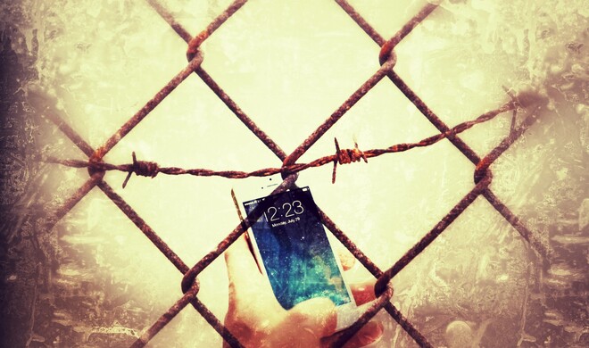 Die Jagd nach Bugs ist ein Millionengeschäft