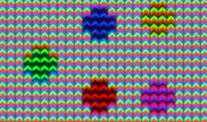 Bislang verwenden iPhones IPS-LCD-Displays