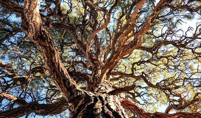 Aufgenommen mit dem iPhone 7 Plus