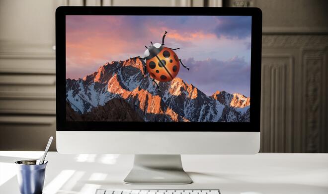 Bugs in macOS Sierra