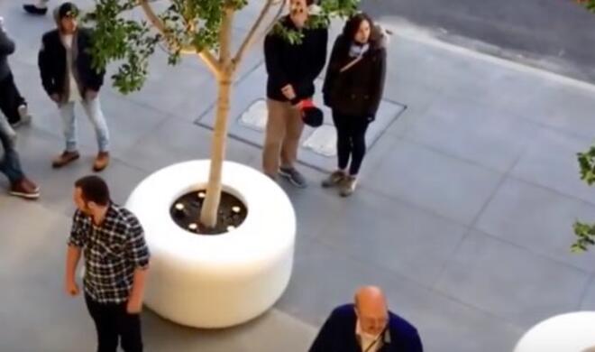 Pflanzkübel im Apple Store von San Francisco