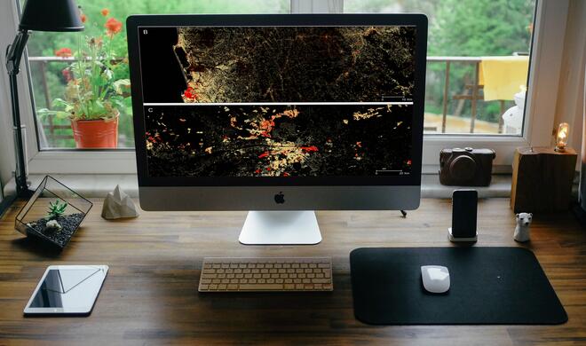 Wo leben die rund 7 Milliarden Menschen eigentlich genau?