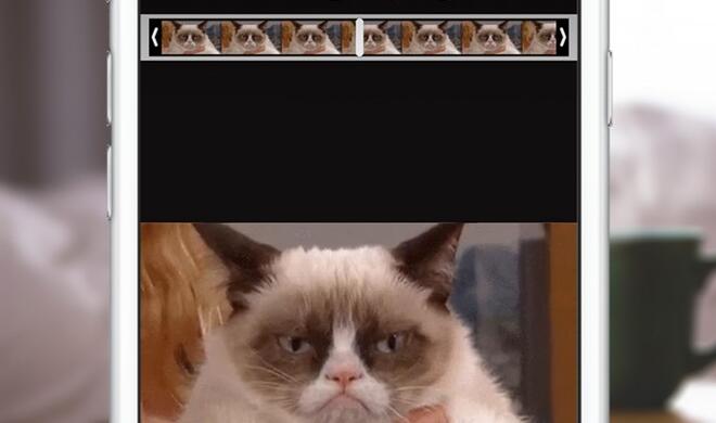 Bisher muss man GIFs in der Fotogalerie auswählen