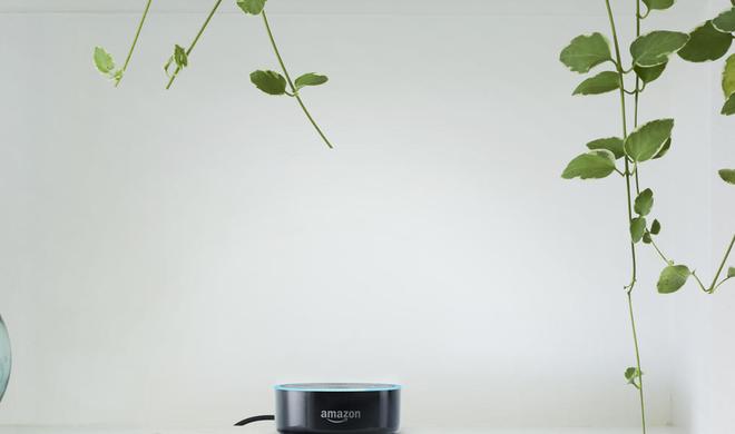 Amazon Echo Dot im Bücherregal